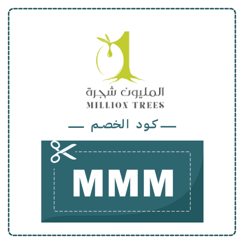 متجر المليون شجرة زيت زيتون