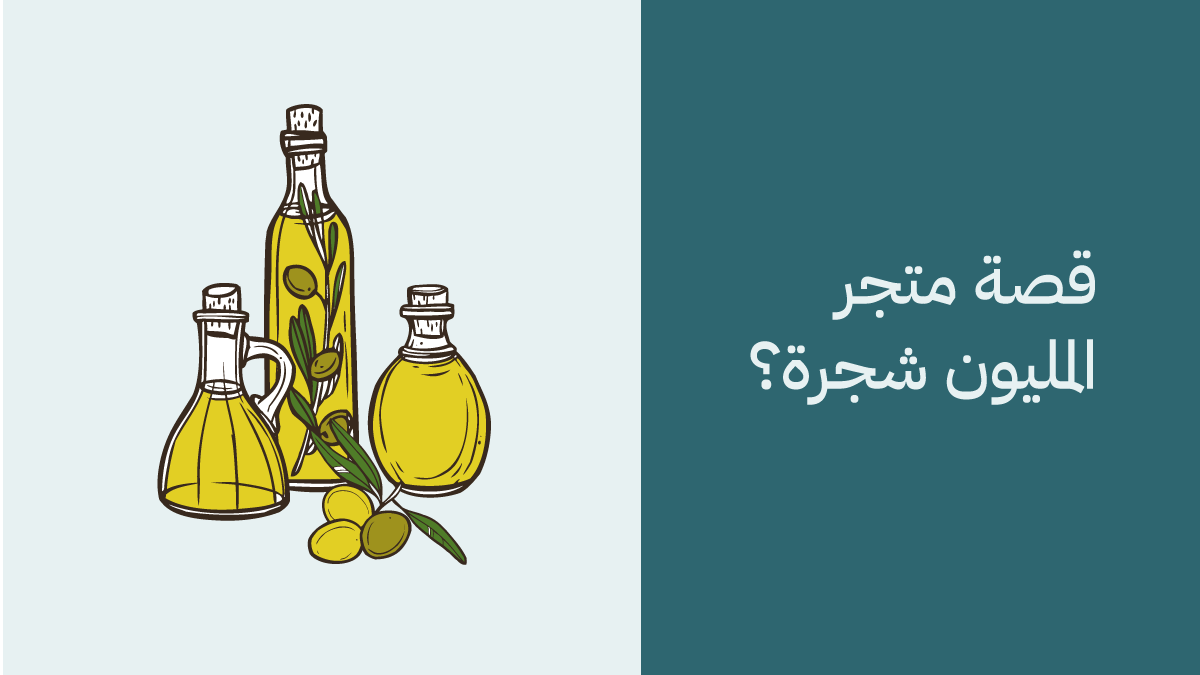 زيت زيتون المليون شجرة 