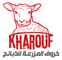 خروف المزرعة